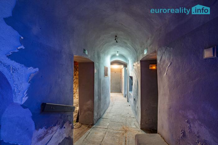 Prodej obchodního prostoru, Cheb, Cechovní, 100 m2