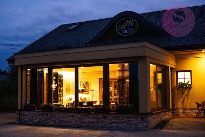 Prodej obchodního prostoru, Ludgeřovice, Hlučínská, 309 m2