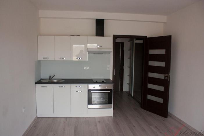 Pronájem bytu 1+kk, Staříč, Fryčovická, 30 m2