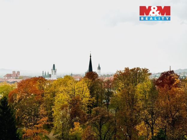 Prodej bytu 1+1, Litoměřice, Daliborova, 45 m2