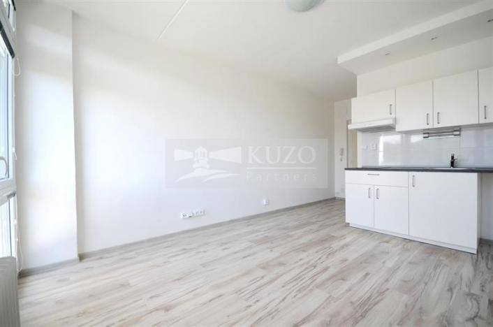 Prodej bytu 1+kk, Chomutov, Seifertova, 20 m2