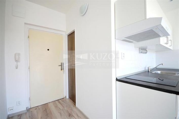 Prodej bytu 1+kk, Chomutov, Seifertova, 20 m2