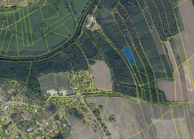 Prodej lesa, Bradlec, 4578 m2