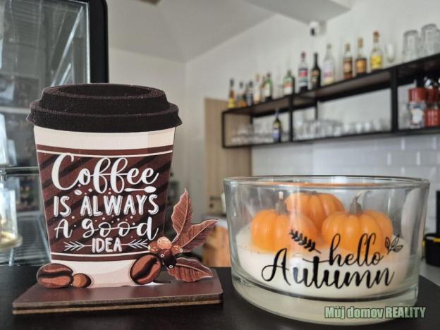 Pronájem restaurace, Praha - Nusle, Oldřichova, 70 m2