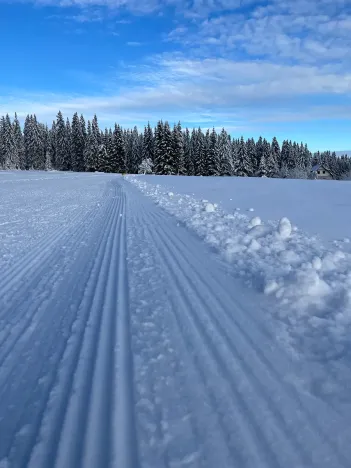 Prodej rodinného domu, Kvilda, 408 m2