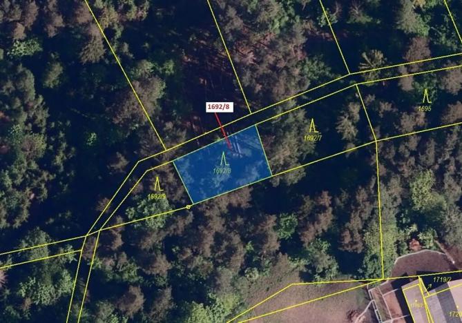 Dražba lesa, Návsí, 409 m2