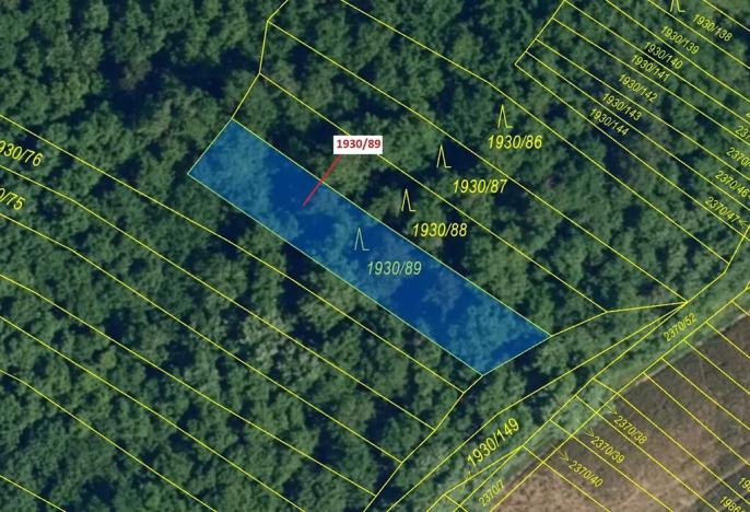 Dražba lesa, Ivančice, 435 m2