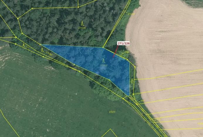 Dražba lesa, Milavče, 1643 m2