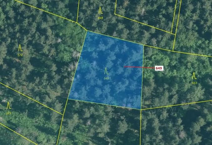 Dražba lesa, Kuřimany, 1722 m2