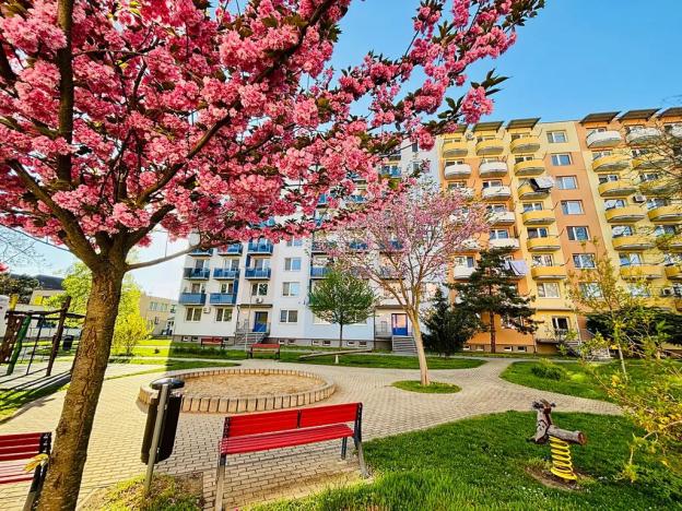 Prodej bytu 2+1, Břeclav, Slovácká, 51 m2