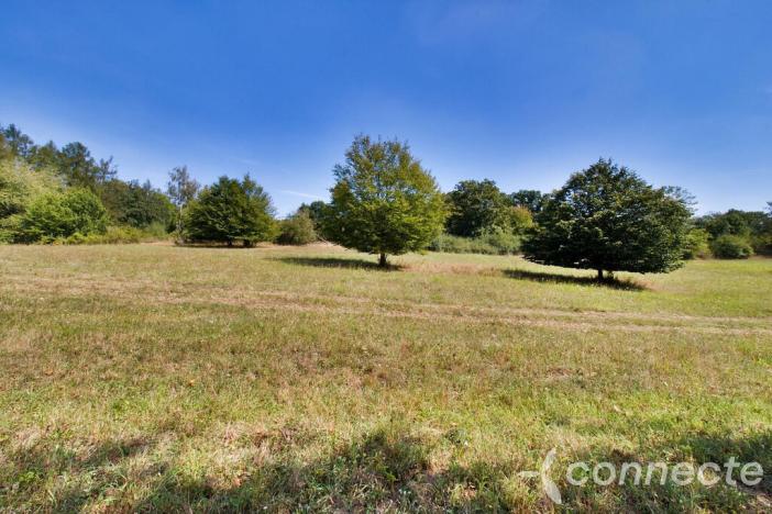 Prodej louky, Samopše, 14836 m2