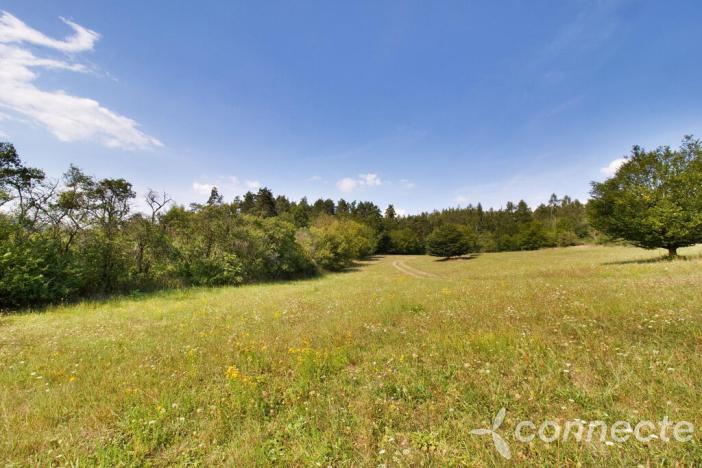 Prodej louky, Samopše, 14836 m2