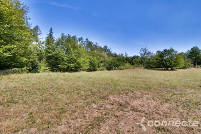 Prodej louky, Samopše, 14836 m2