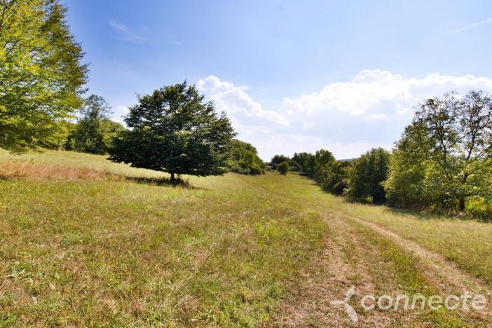 Prodej louky, Samopše, 14836 m2