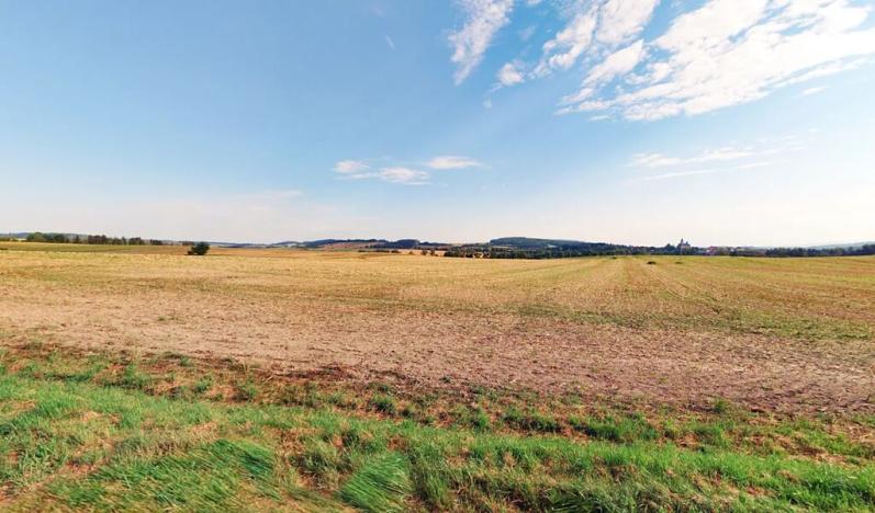 Prodej komerčního pozemku, Hájek, 4255 m2