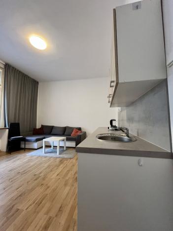 Pronájem bytu 1+kk, Ostrava - Moravská Ostrava, Střední, 26 m2