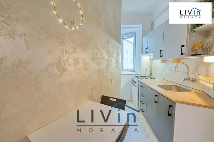 Pronájem bytu 1+1, Olomouc, Starodružiníků, 28 m2