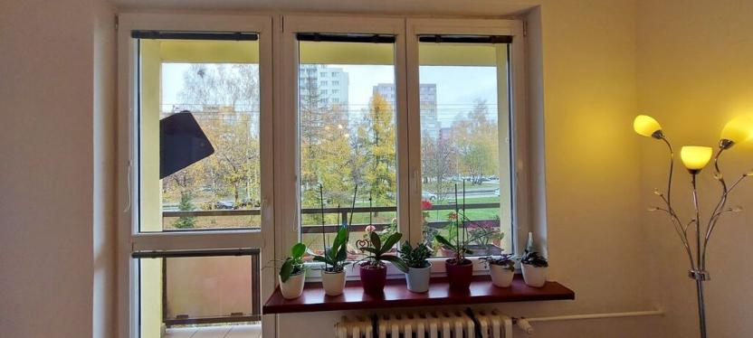 Pronájem bytu 3+1, Ostrava, Výškovická, 76 m2