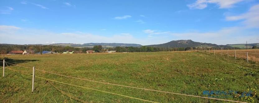 Prodej louky, Police nad Metují, 8001 m2