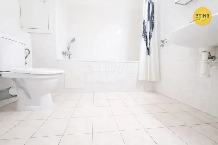 Pronájem bytu 1+kk, Ostrava, Horní, 37 m2