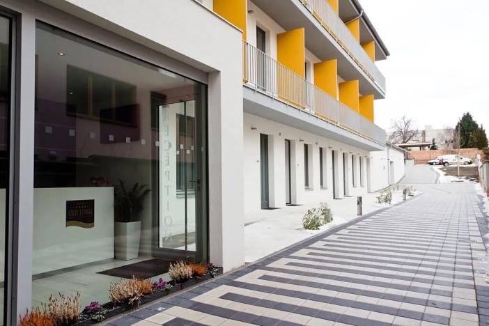 Pronájem bytu 1+kk, Brno, Francouzská, 20 m2