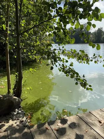 Prodej rodinného domu, Hrusice, K Penzionu, 360 m2