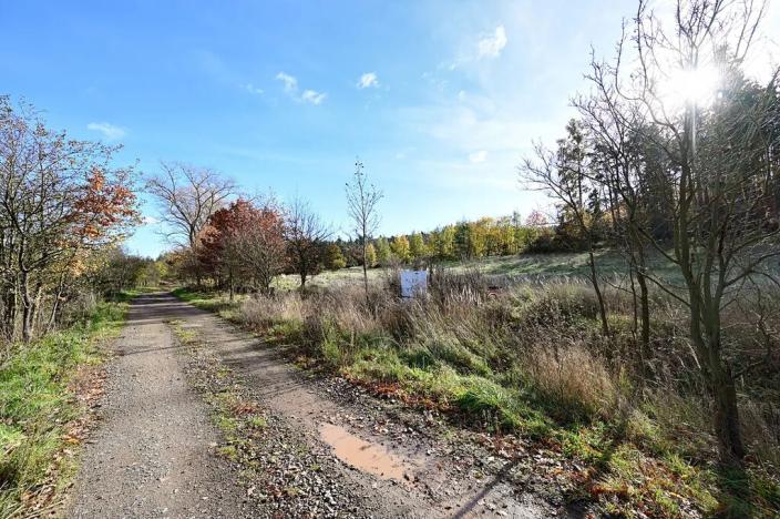 Prodej pozemku pro bydlení, Daleké Dušníky, 1217 m2