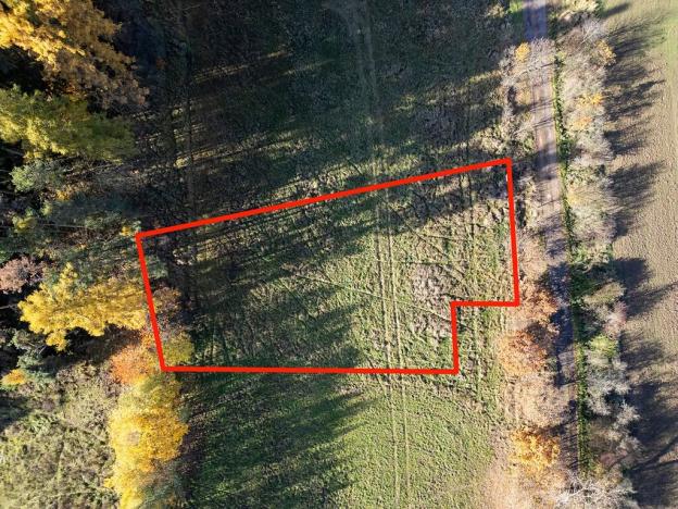 Prodej pozemku pro bydlení, Daleké Dušníky, 1217 m2