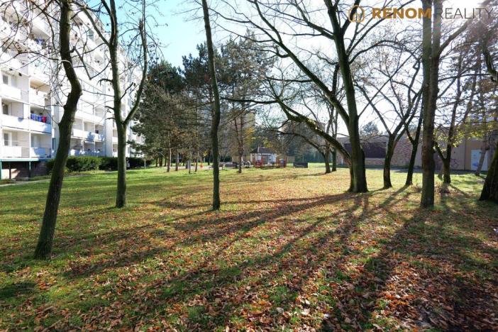 Prodej bytu 3+1, Olomouc, Lužická, 74 m2