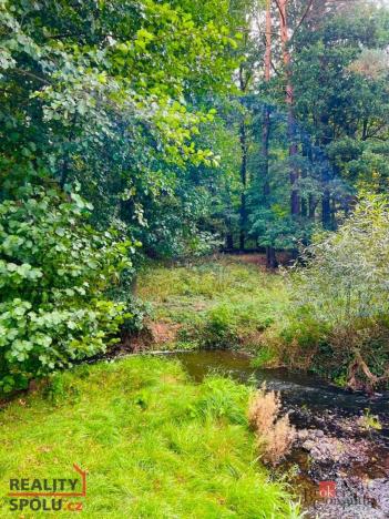 Prodej louky, Rybníky, 1277 m2