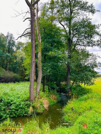 Prodej louky, Rybníky, 1277 m2