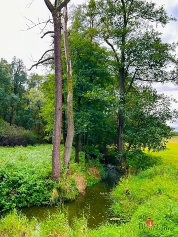 Prodej louky, Rybníky, 1277 m2