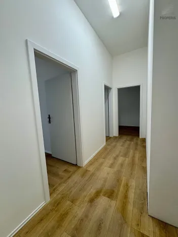 Pronájem ubytování, Brno, Štefánikova, 300 m2