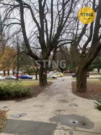 Pronájem bytu 1+kk, Kopřivnice, Štramberská, 45 m2