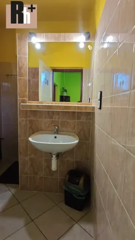 Prodej ubytování, Ostrava, Šamanova, 173 m2