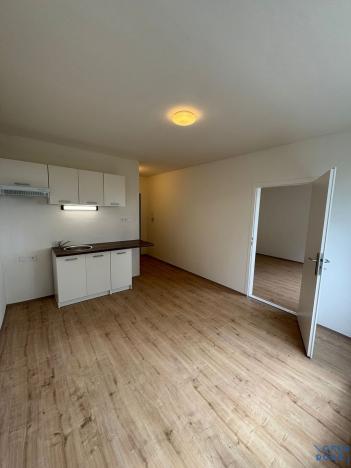 Pronájem bytu 2+1, Chomutov, Pod Břízami, 51 m2