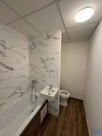 Pronájem bytu 2+1, Chomutov, Pod Břízami, 51 m2