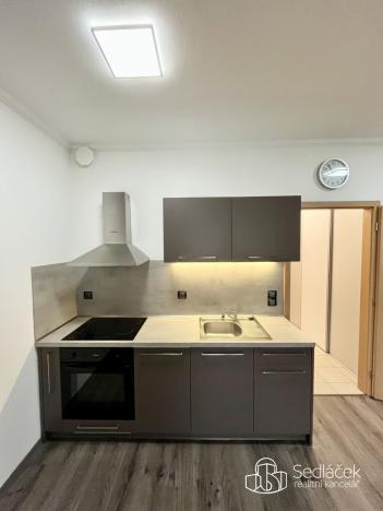 Pronájem bytu 1+kk, Karlovy Vary - Stará Role, Kryzánkova, 34 m2