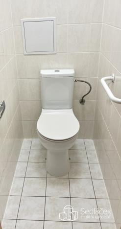 Pronájem bytu 1+kk, Karlovy Vary - Stará Role, Kryzánkova, 34 m2