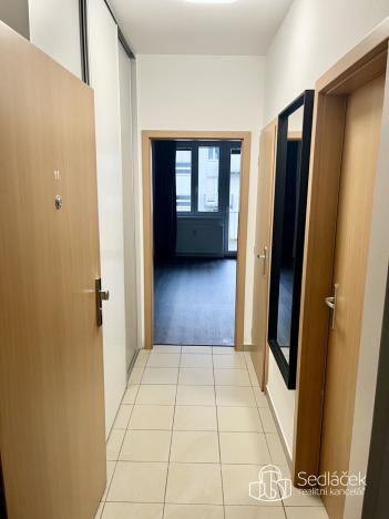 Pronájem bytu 1+kk, Karlovy Vary - Stará Role, Kryzánkova, 34 m2