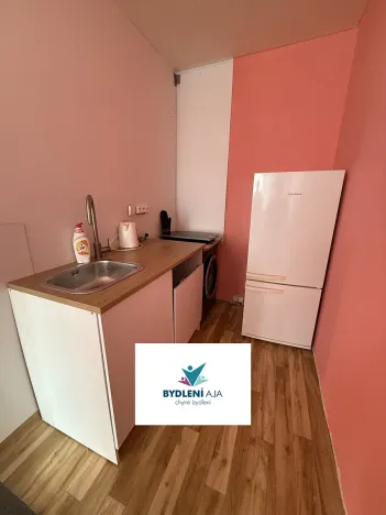 Pronájem bytu 1+kk, Teplice, Přítkovská, 32 m2