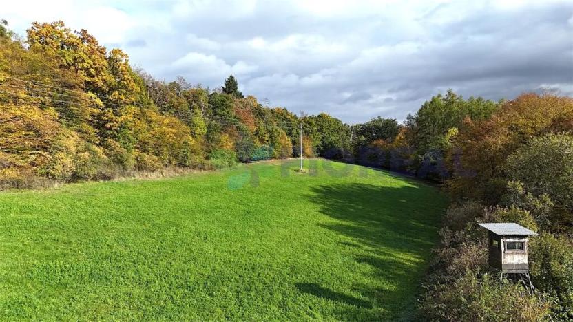 Prodej pozemku, Chotilsko, 16301 m2