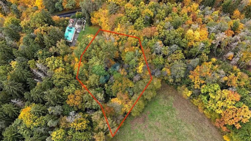 Prodej pozemku, Chotilsko, 16301 m2