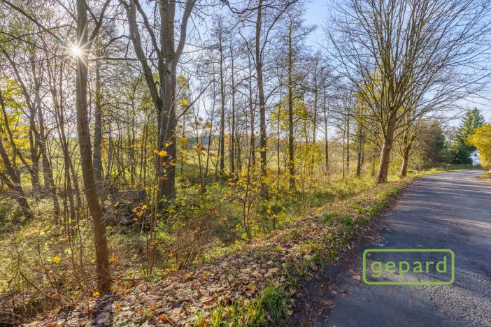 Prodej rybníku, Bochov - Dlouhá Lomnice, 5195 m2