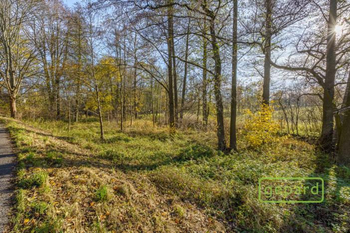 Prodej rybníku, Bochov - Dlouhá Lomnice, 5195 m2