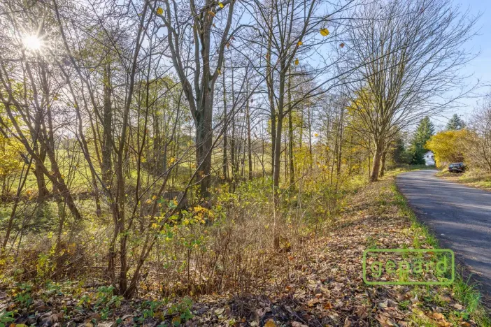 Prodej rybníku, Bochov - Dlouhá Lomnice, 5195 m2