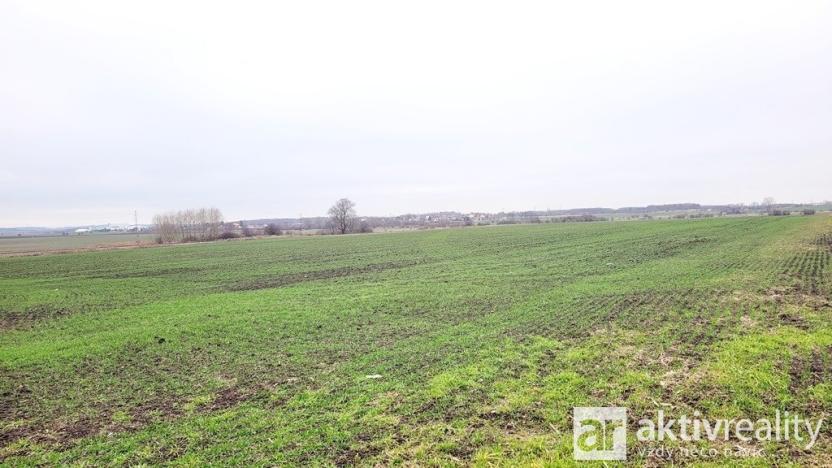 Prodej pole, Kostelec nad Labem - Jiřice, 19414 m2