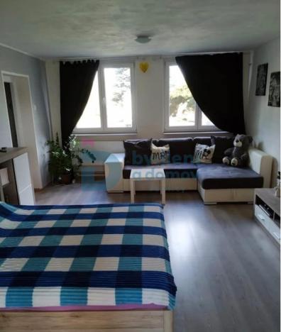 Pronájem bytu 1+kk, Loučany, 45 m2