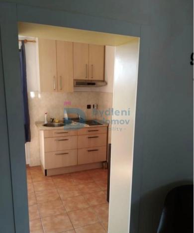 Pronájem bytu 1+kk, Loučany, 45 m2