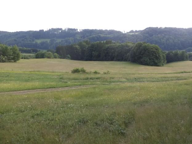 Dražba pole, Městečko Trnávka, 12576 m2